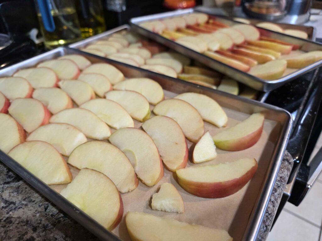 Four trays of apple slices lined up on parchment paper
